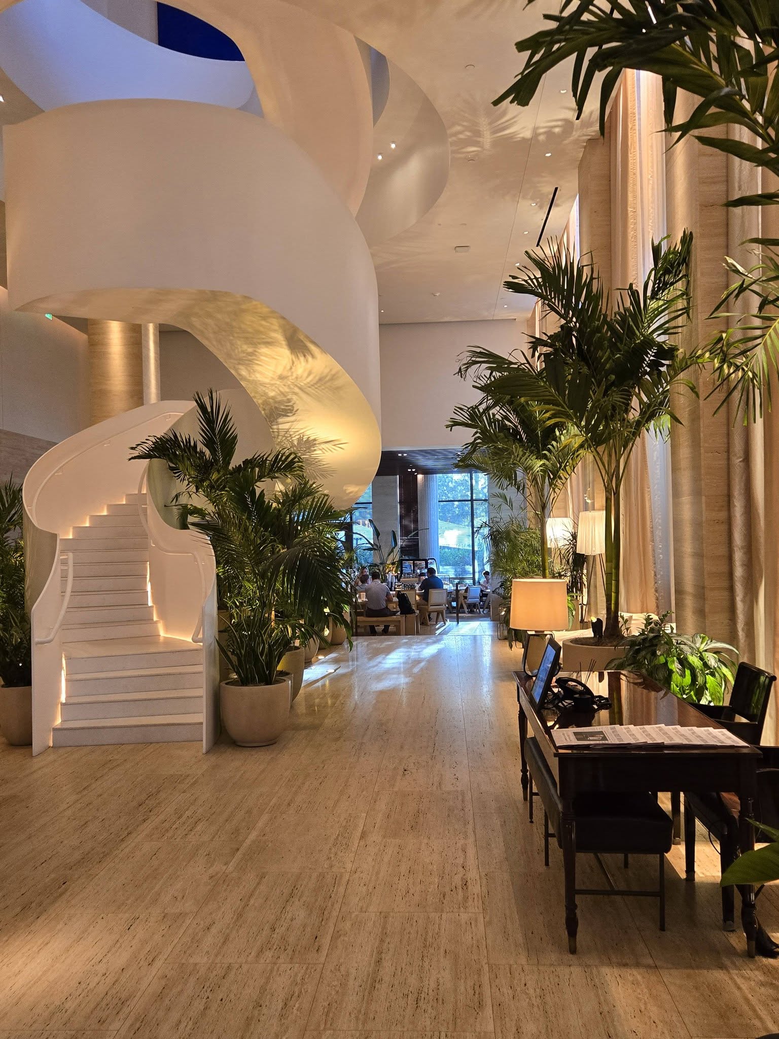 Low-Maintenance Hotel Plants That Elevate the Guest Experience