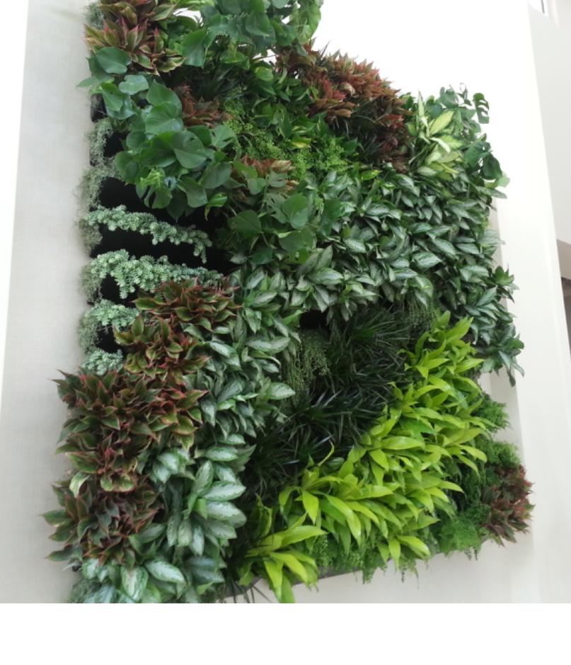 Vertical living wall with diverse plant varieties