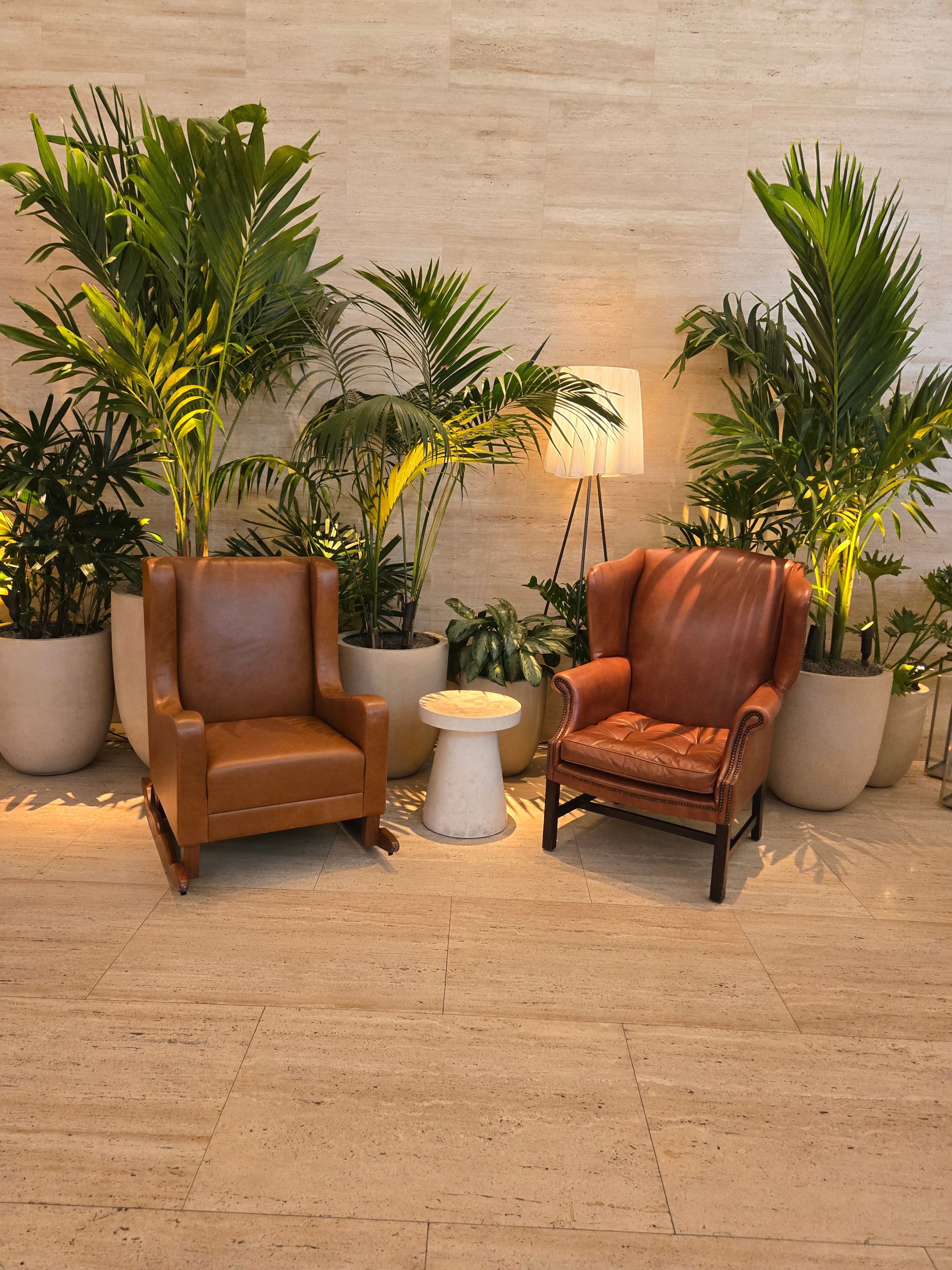 Best Office Plants for Florida Climate