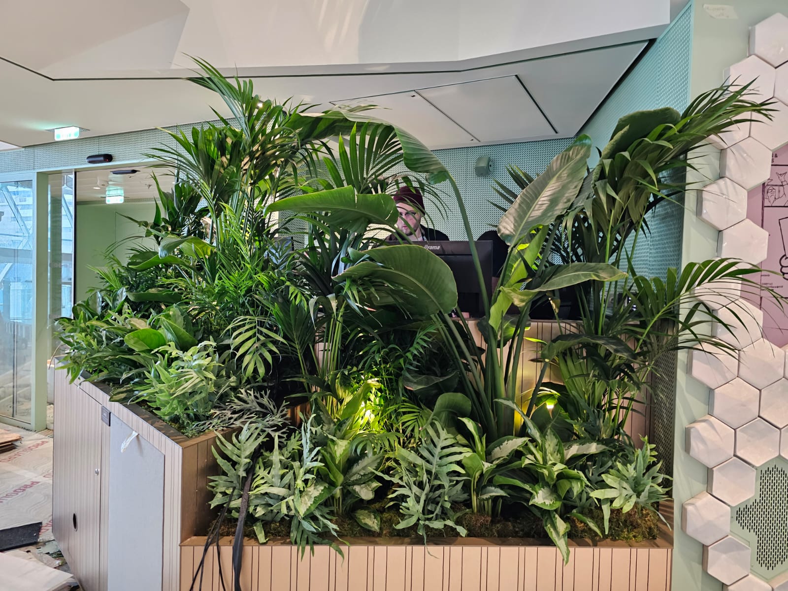 Modern office space with lush tropical plant installation serving as natural room divider