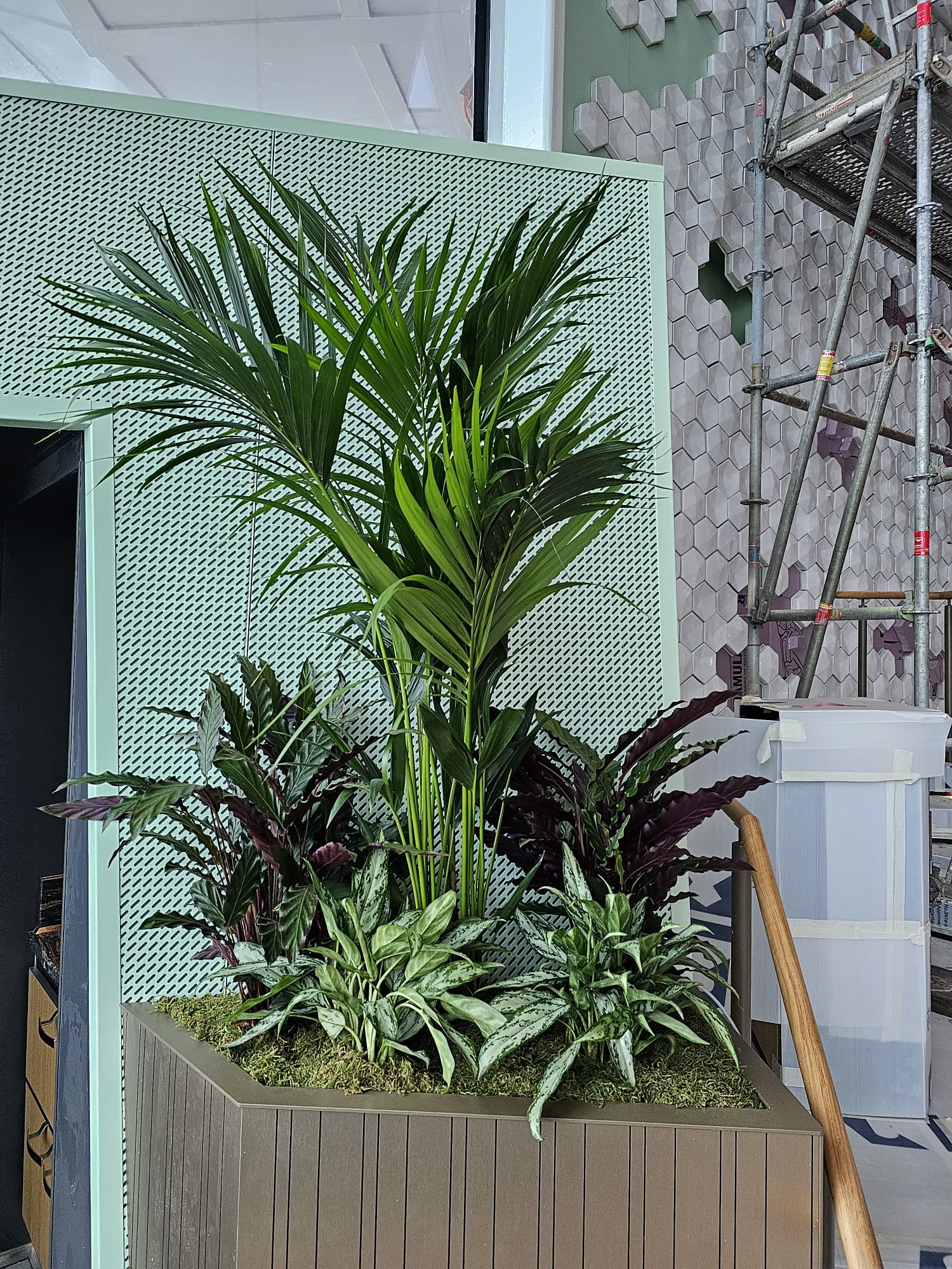 Contemporary office space design with large tropical plant installation in custom planters - Southwest Florida interior landscaping