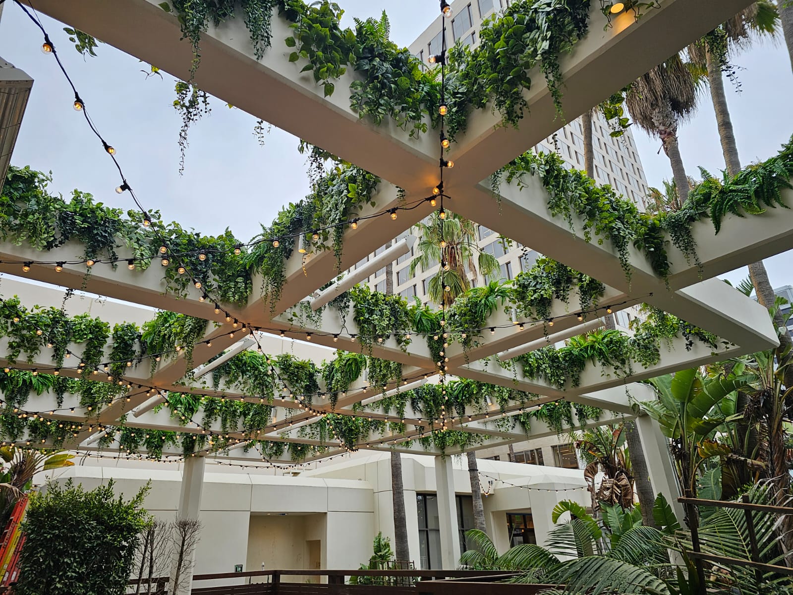 Outdoor pergola with hanging garden plants and decorative string lights for Southwest Florida commercial space